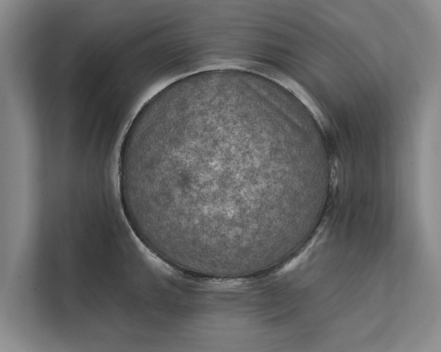 X0000112351143200908271228