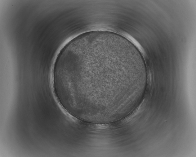 X0000112351144200908271228