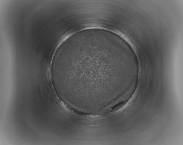 X0000112351145200908271228