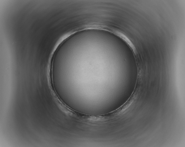 X0000112351146200908271228