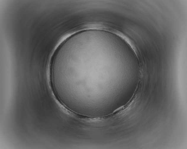 X0000112351147200908271228