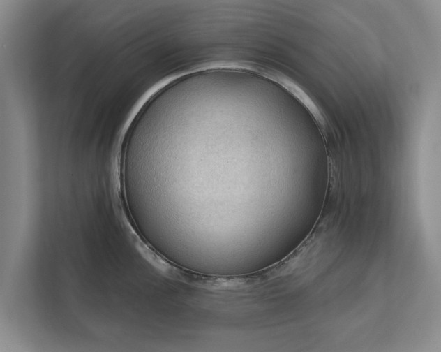 X0000112351148200908271228