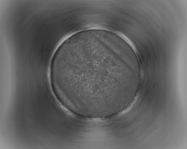 X0000112351149200908271228