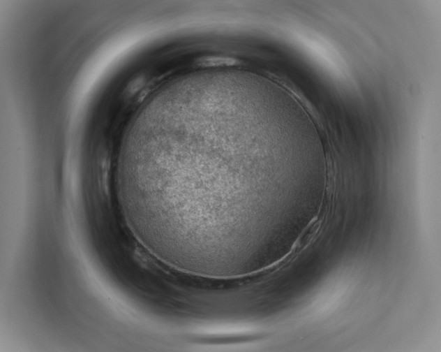 X0000112351151200908271228