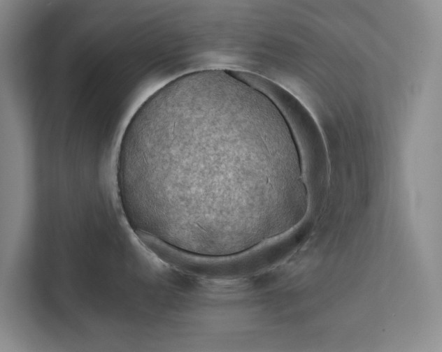 X0000112351152200908271228