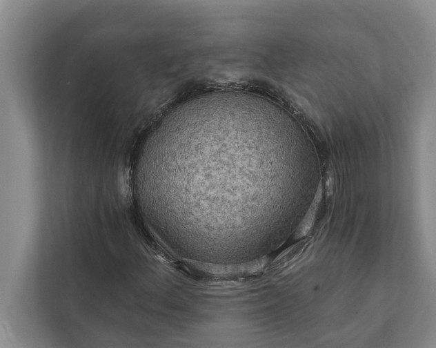 X0000112351156200908271227