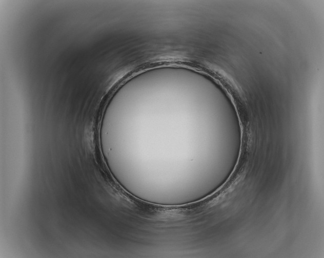 X0000112351162200908271227