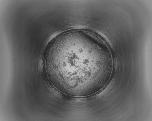 X0000112351163200908271227