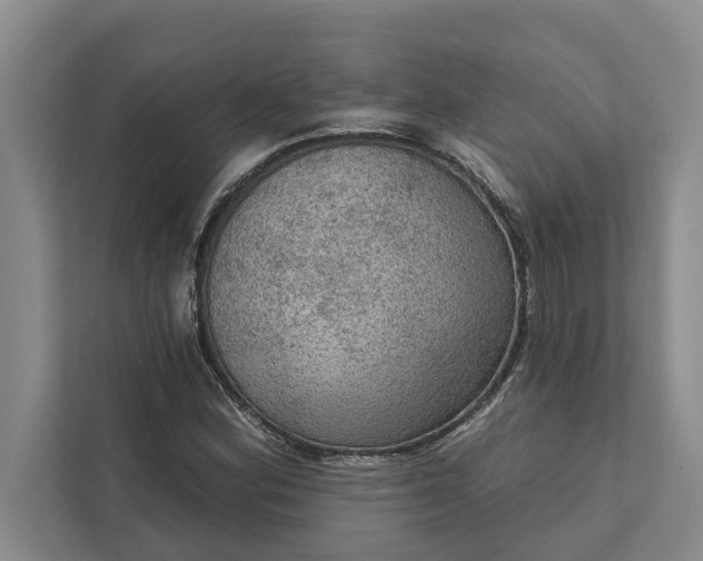 X0000112351164200908271227