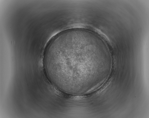 X0000112351166200908271227