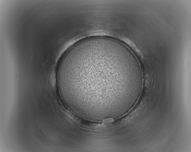 X0000112351167200908271227