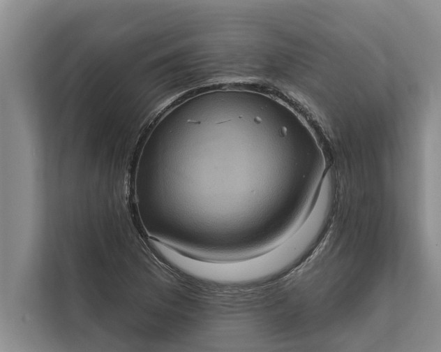 X0000112351169200908271227