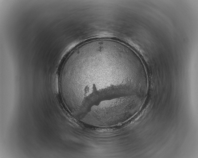 X0000112351171200908271227