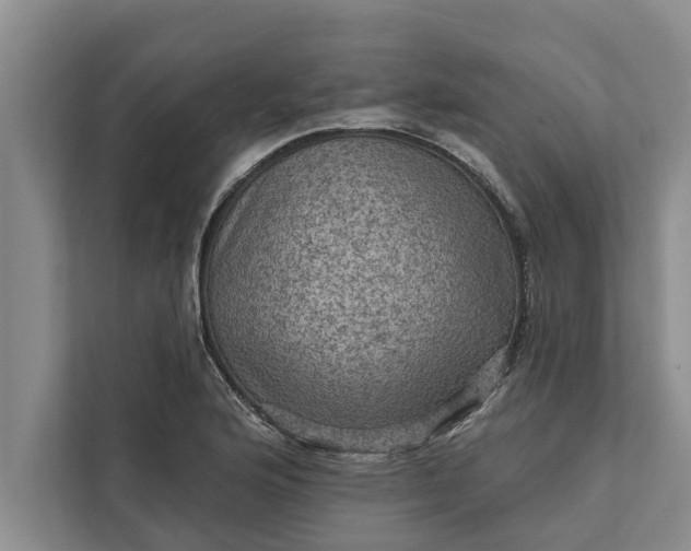 X0000112351176200908271227