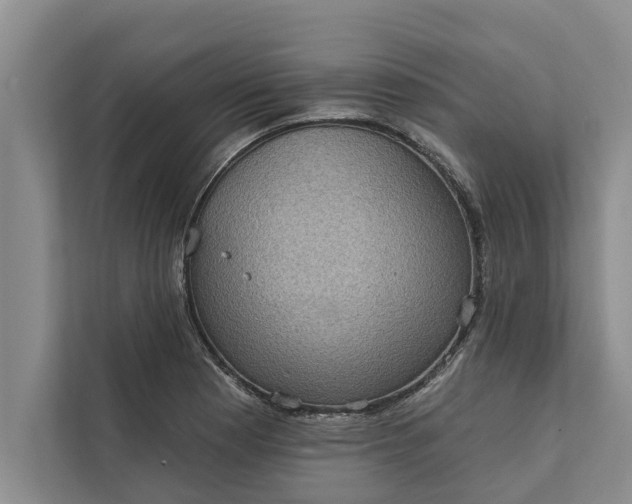 X0000112351177200908271227