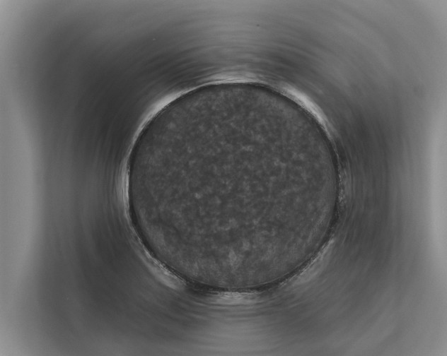 X0000112351179200908271227