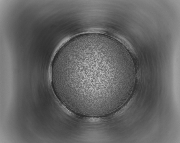 X0000112351180200908271227