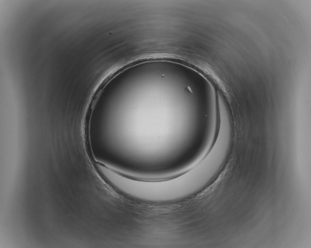 X0000112351181200908271227