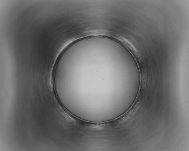 X0000112351182200908271227