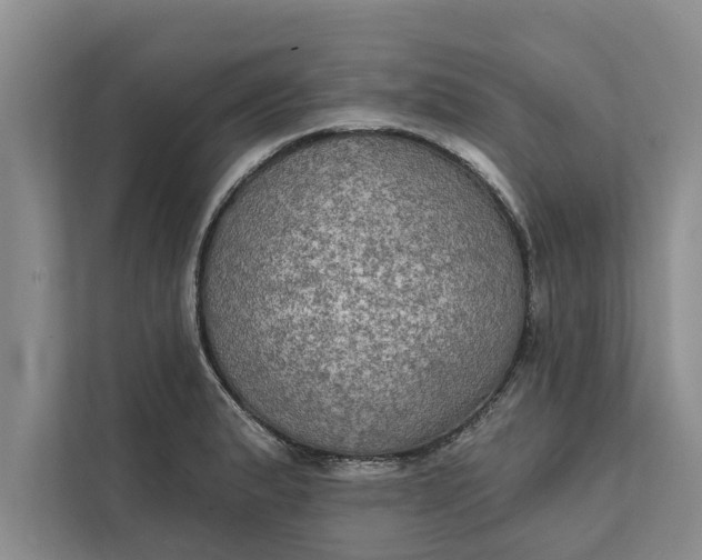 X0000112351183200908271227