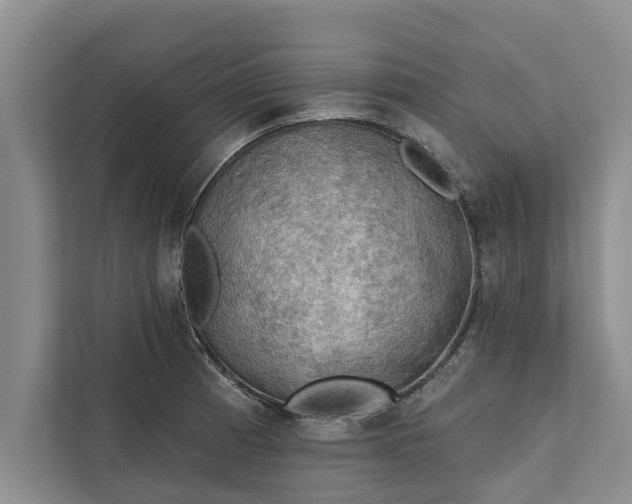 X0000112351185200908271227