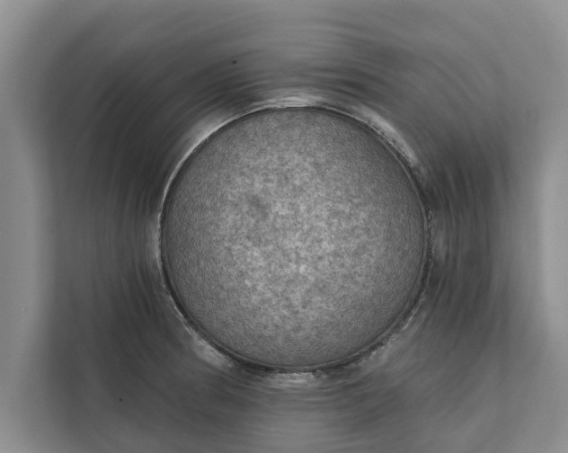 X0000112351186200908271227