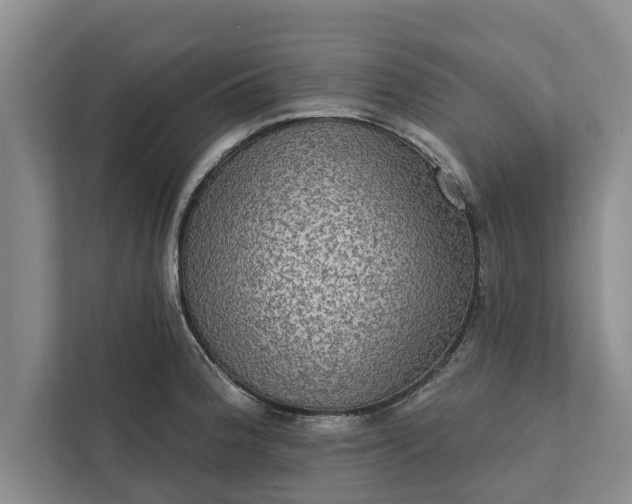 X0000112351188200908271227