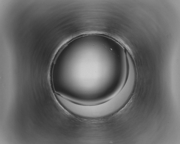 X0000112351189200908271227