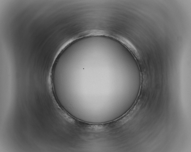 X0000112351190200908271227