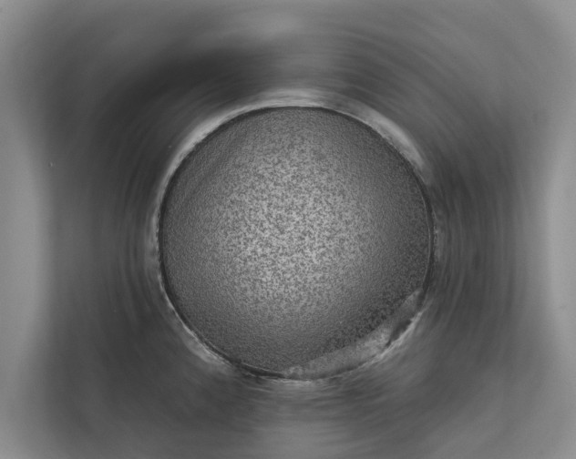 X0000112351192200908271227