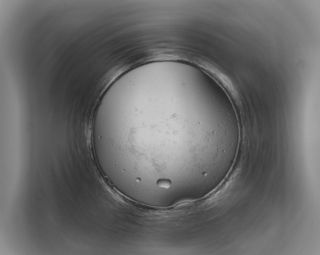 X0000112351193200908271227