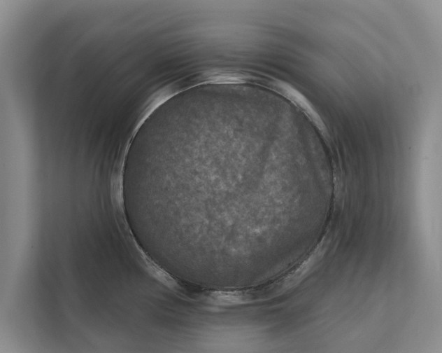 X0000112351194200908271227