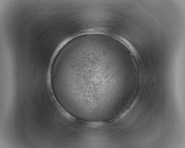 X0000112351196200908271226