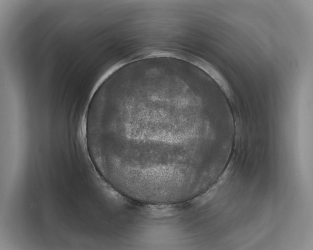 X0000112351198200908271226