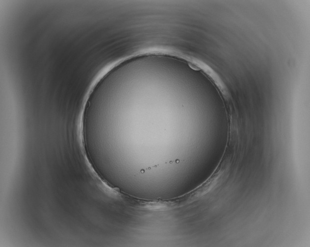 X0000112351199200908271226