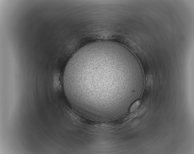 X0000112351202200908271226