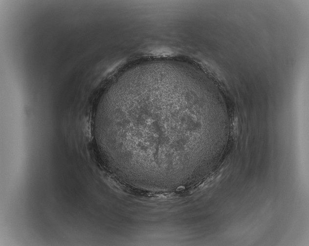 X0000112351205200908271226