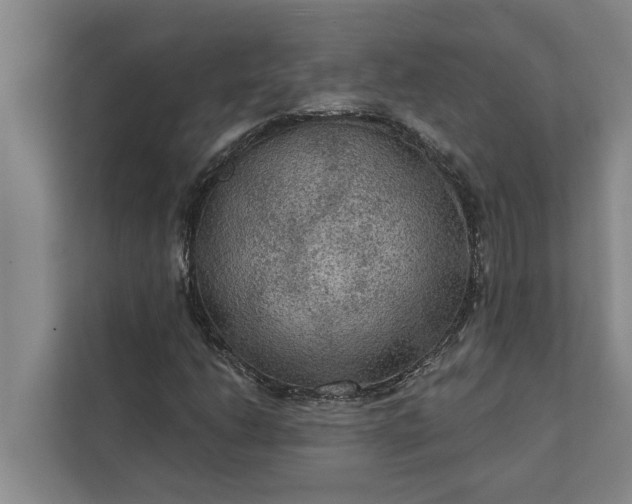 X0000112351206200908271226