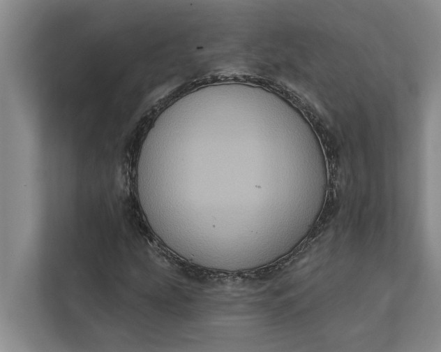 X0000112351207200908271226