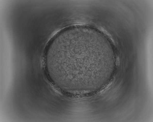 X0000112351208200908271226