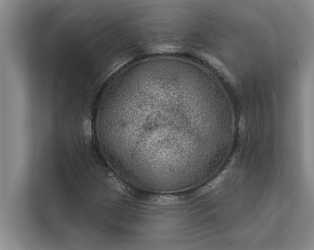 X0000112351209200908271226