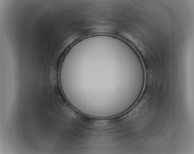 X0000112351211200908271226