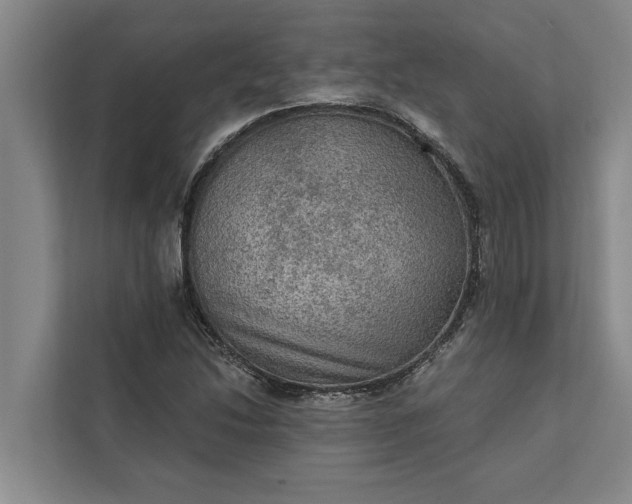 X0000112351214200908271226