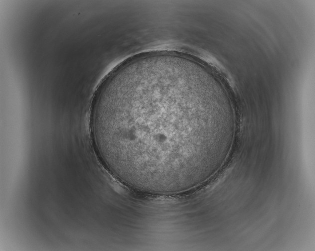 X0000112351216200908271226