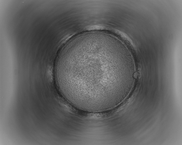 X0000112351217200908271226