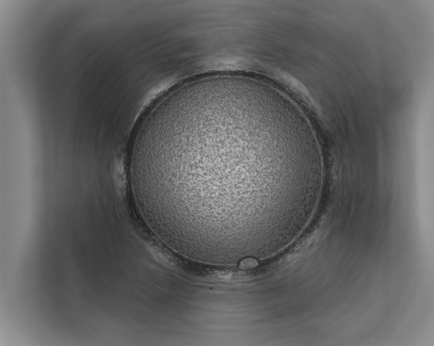 X0000112351218200908271226