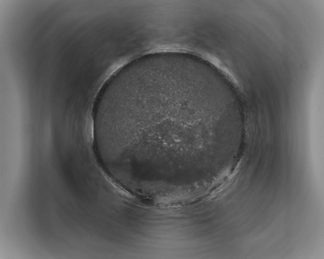 X0000112351221200908271226