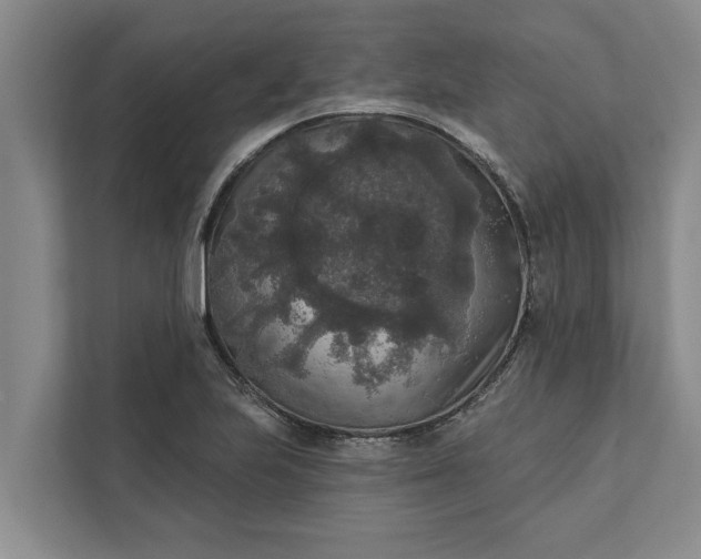 X0000112351223200908271226