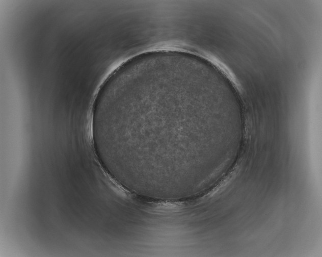 X0000112351224200908271226