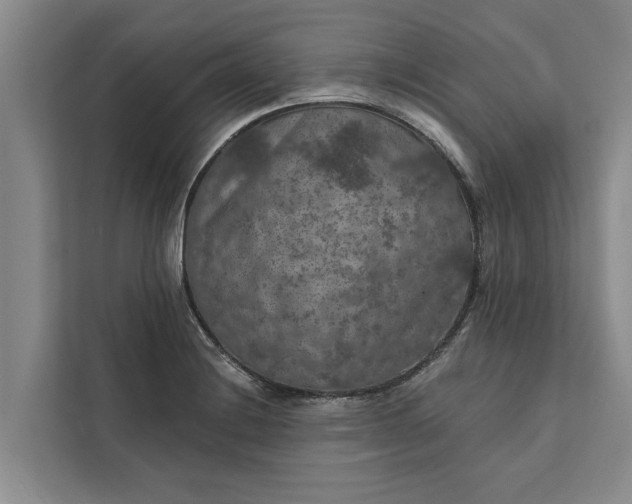 X0000112351228200908271226